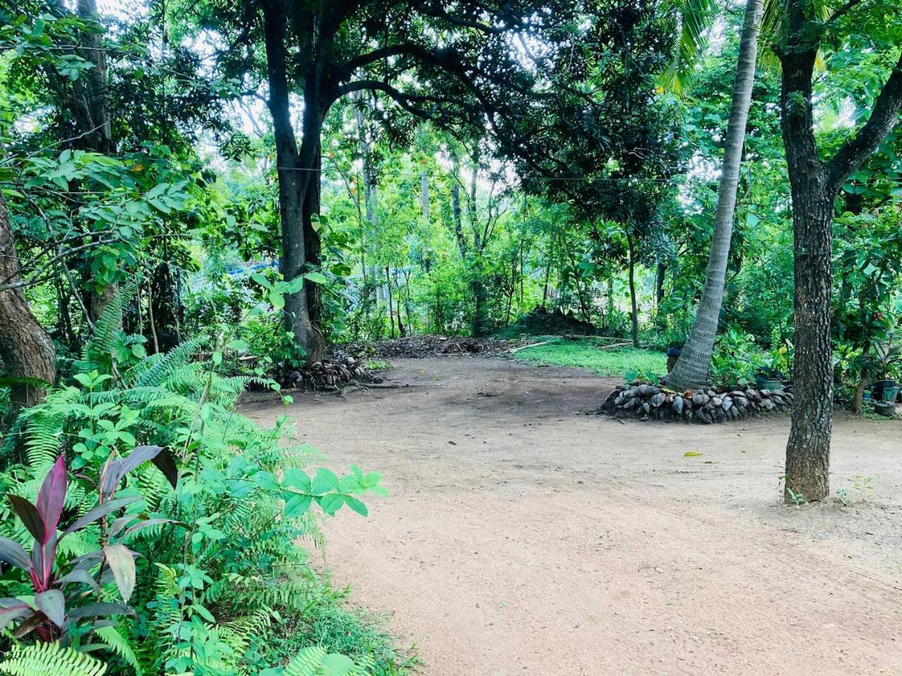 Sigiri Lodge Sigiriya Exterior photo